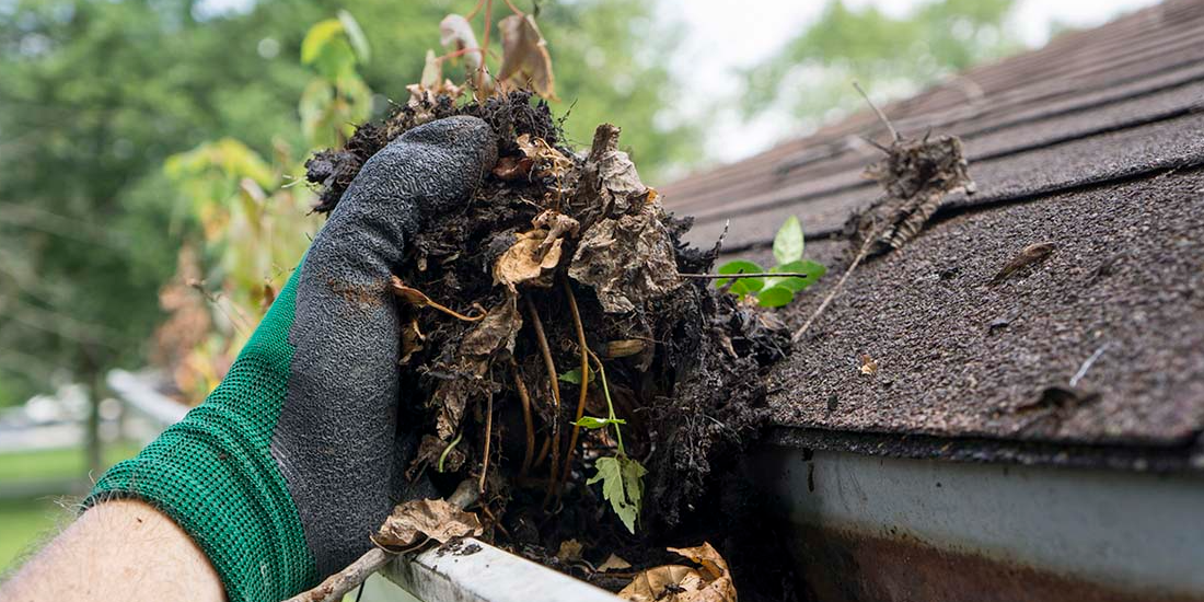 Gutter cleaning – safety tips